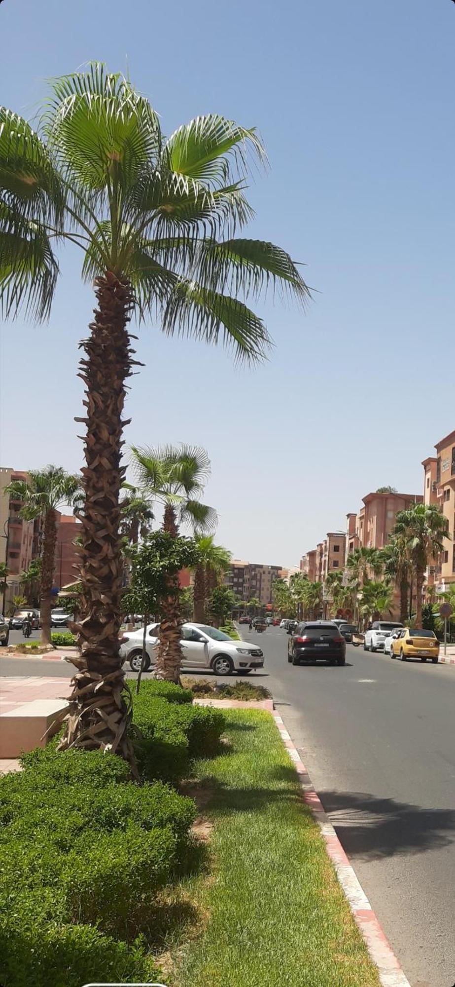 Appartement علياء *